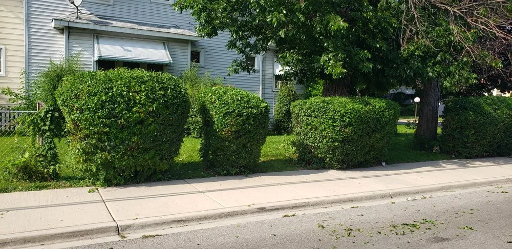 Affordable landscape design for outdoor upgrades across Bellwood, IL - KBS Landscaping