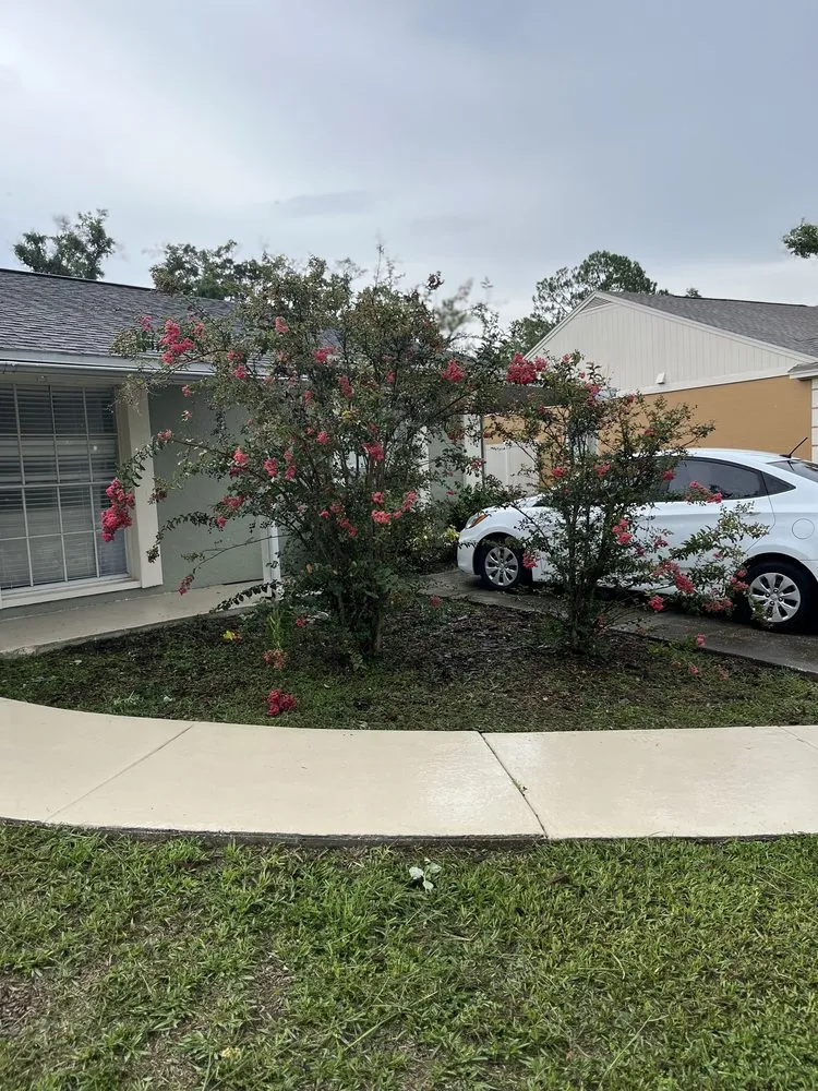 Expert landscaping services with custom design in Tampa, FL by KBS Lawn Care