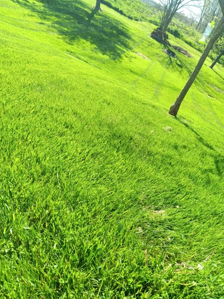 Reliable garden landscaping in Lagrange, IN - KB's Lawncare