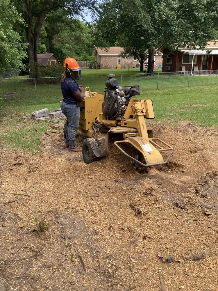 Custom lawn care service for beautiful yards across Mount Pleasant, SC - Kbs Services