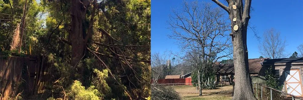 Reliable landscaping services experts serving Mount Pleasant, SC - Kbs Services