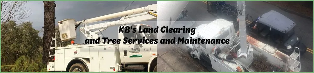 Local lawn mowing service for outdoor upgrades in Mount Pleasant, SC by Kbs Services