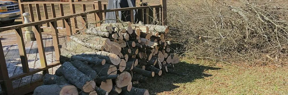 Expert lawn care service experts serving Mount Pleasant, SC - Kbs Services