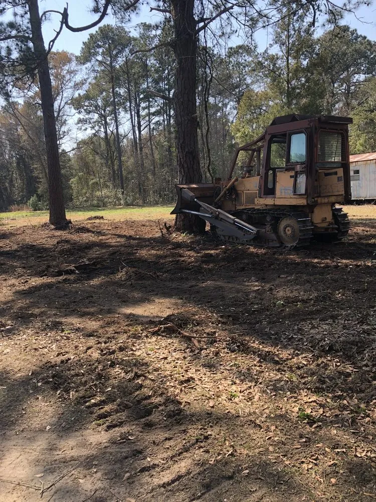 Custom yard maintenance experts serving Mount Pleasant, SC - Kbs Services