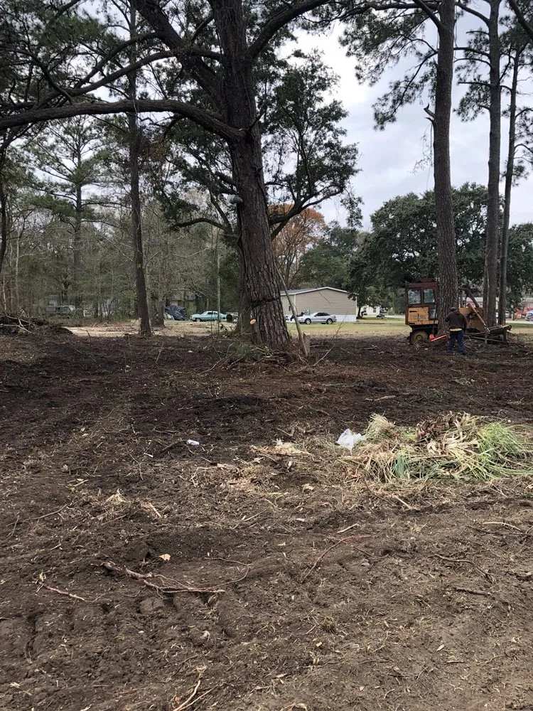 Top-rated landscape installation with custom design in Mount Pleasant, SC by Kbs Services