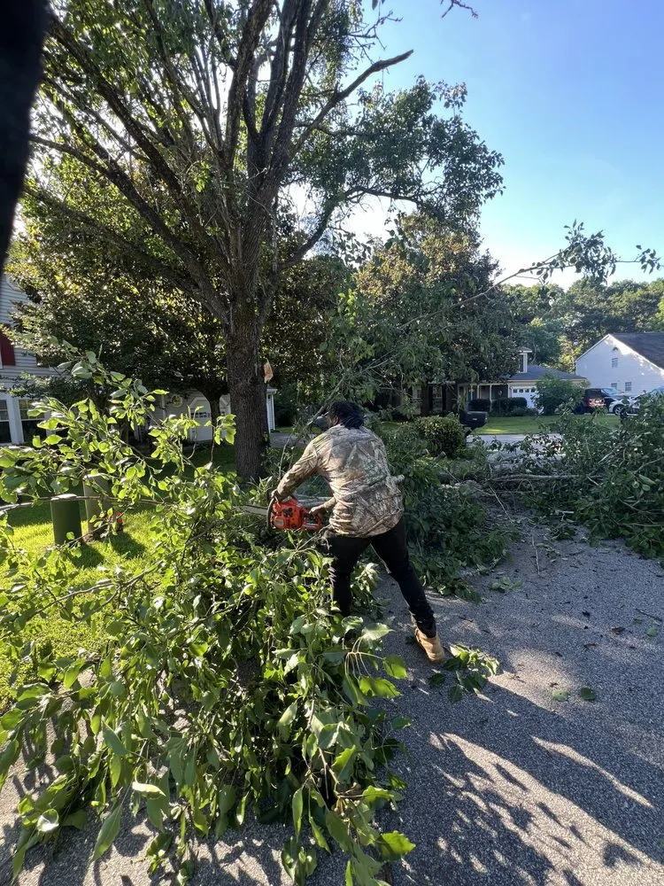 Trusted yard cleanup service for year-round maintenance in Mount Pleasant, SC by Kbs Services