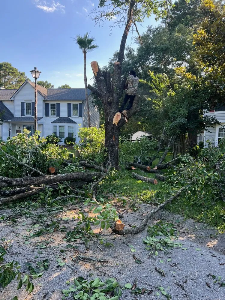 Affordable landscape installation experts serving Mount Pleasant, SC - Kbs Services