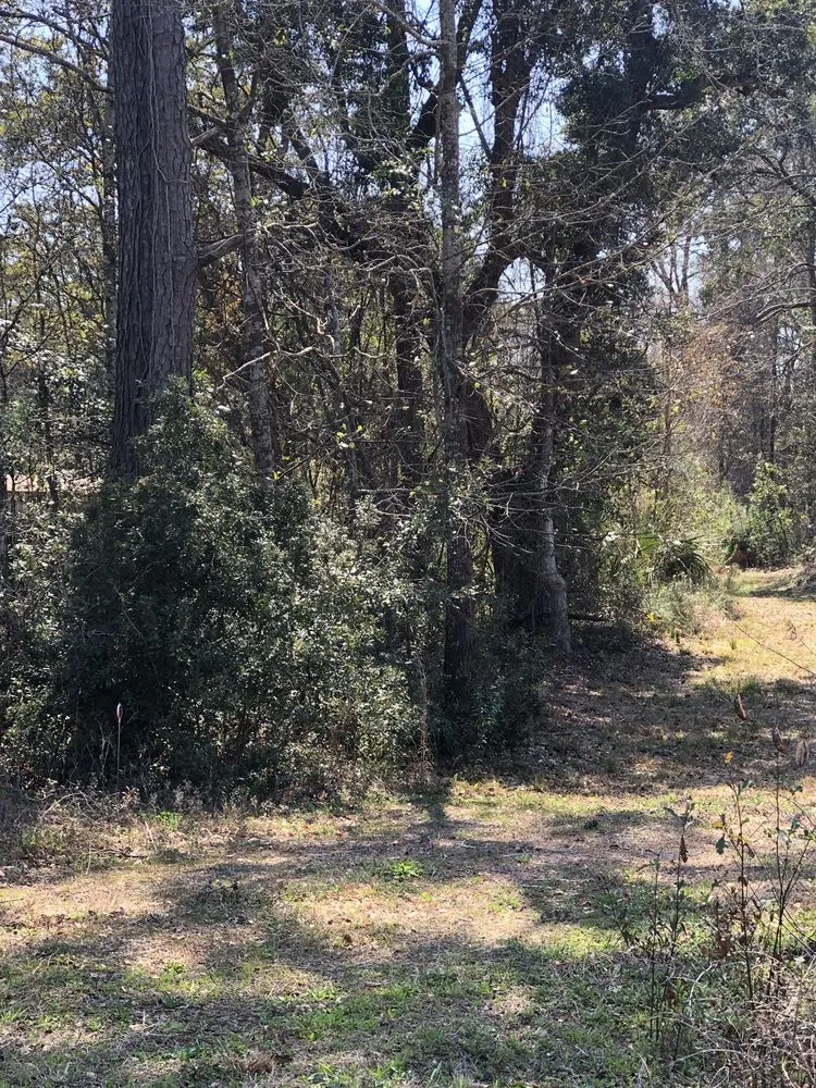 Affordable yard maintenance experts serving Mount Pleasant, SC - Kbs Services