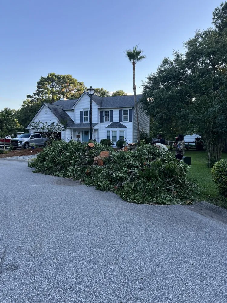 Professional landscape design experts serving Mount Pleasant, SC - Kbs Services