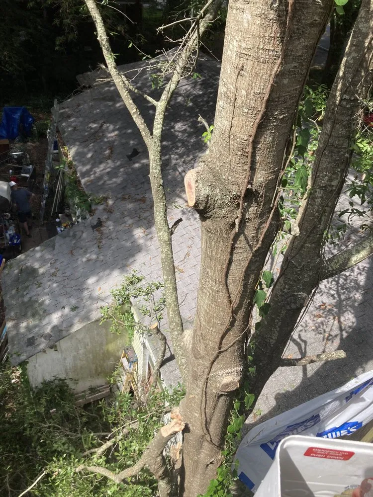 Professional residential landscaping for year-round maintenance in Mount Pleasant, SC by Kbs Services