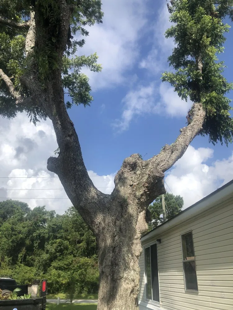 Custom garden landscaping in Mount Pleasant, SC - Kbs Services