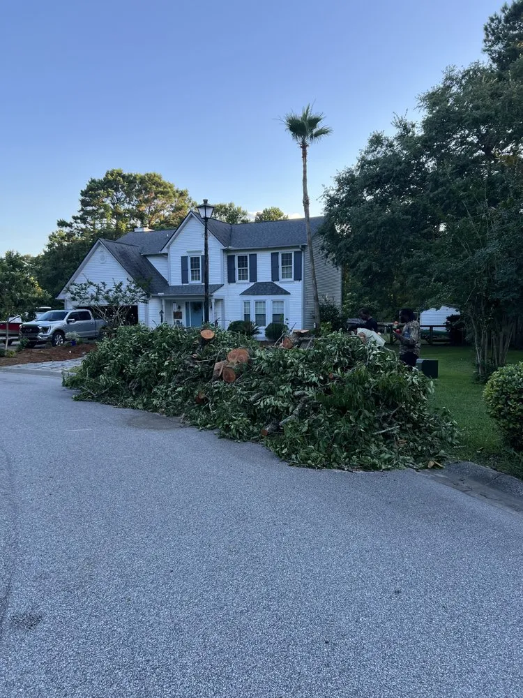 Expert outdoor landscaping in Mount Pleasant, SC - Kbs Services