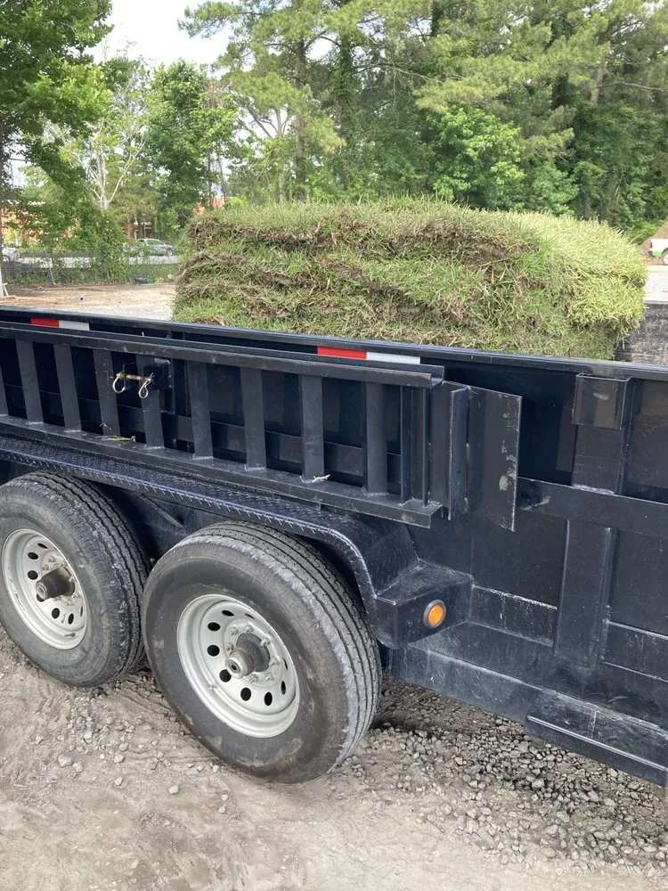 Local yard cleanup service experts serving Mount Pleasant, SC - Kbs Services