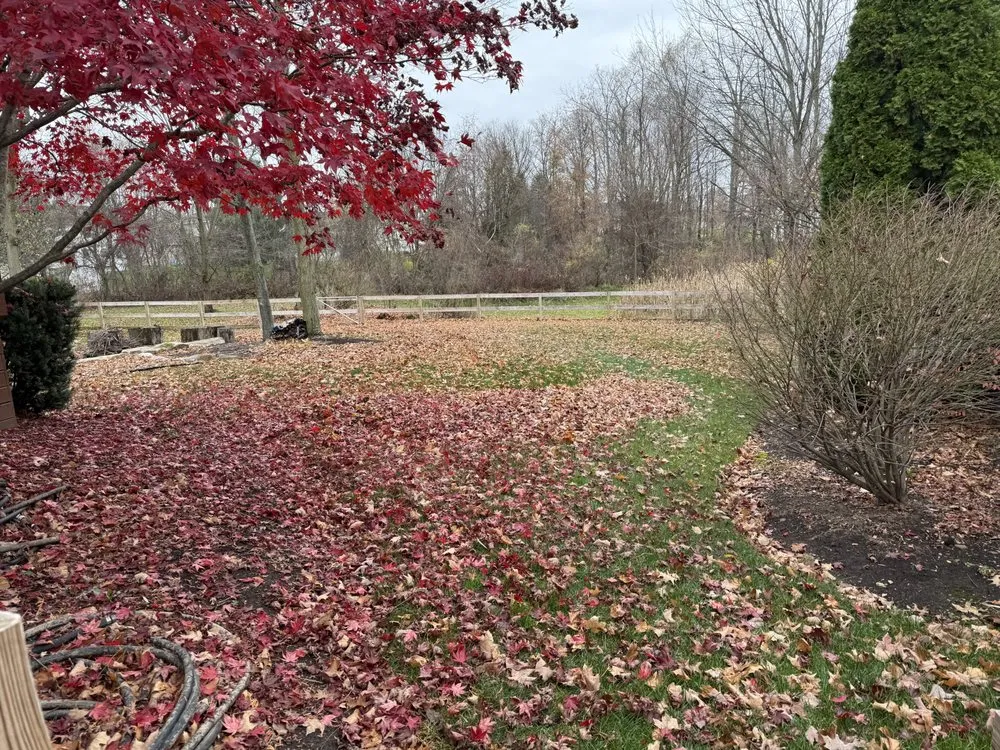 Expert outdoor landscaping for residential properties across Medina, OH - KC Cleanup Landscaping