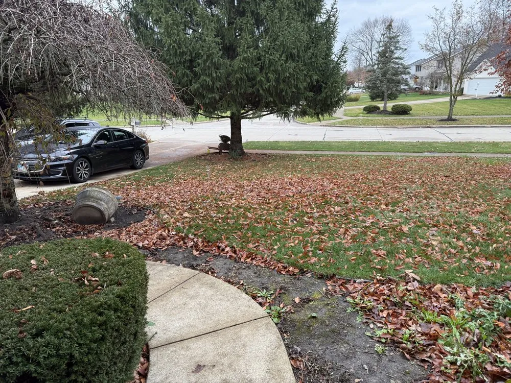 Affordable yard maintenance in Medina, OH by KC Cleanup Landscaping