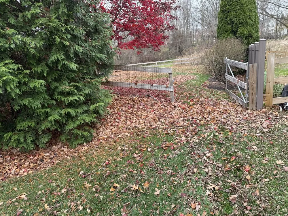 Top-rated landscape design for outdoor upgrades in Medina, OH by KC Cleanup Landscaping