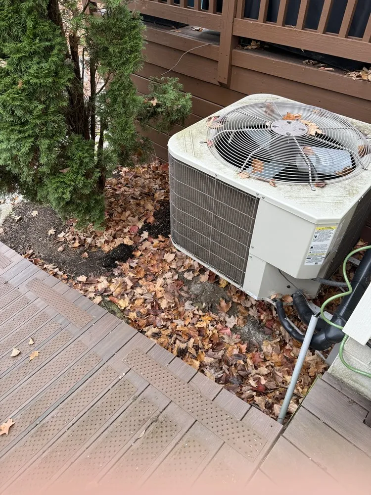 Expert yard maintenance in Medina, OH - KC Cleanup Landscaping