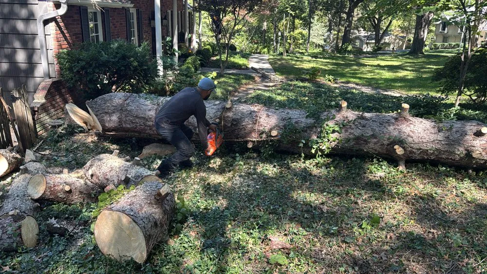 Professional residential landscaping in Kansas City, KS by Kc Discount Landscaping