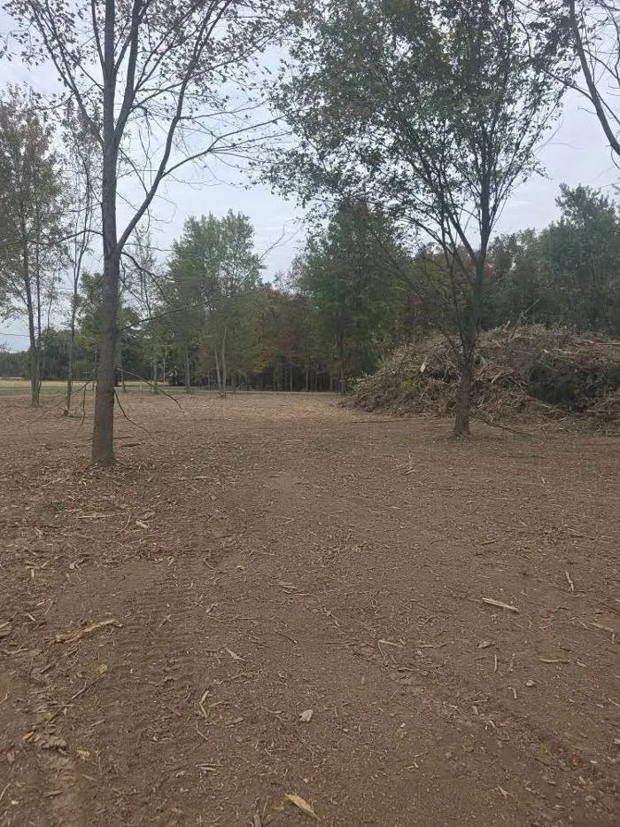 Expert yard cleanup service experts serving Saint Elmo, IL - K&C Excavating and Forestry Services