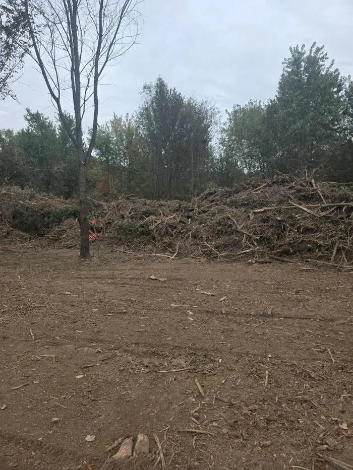 Reliable yard maintenance in Saint Elmo, IL - K&C Excavating and Forestry Services