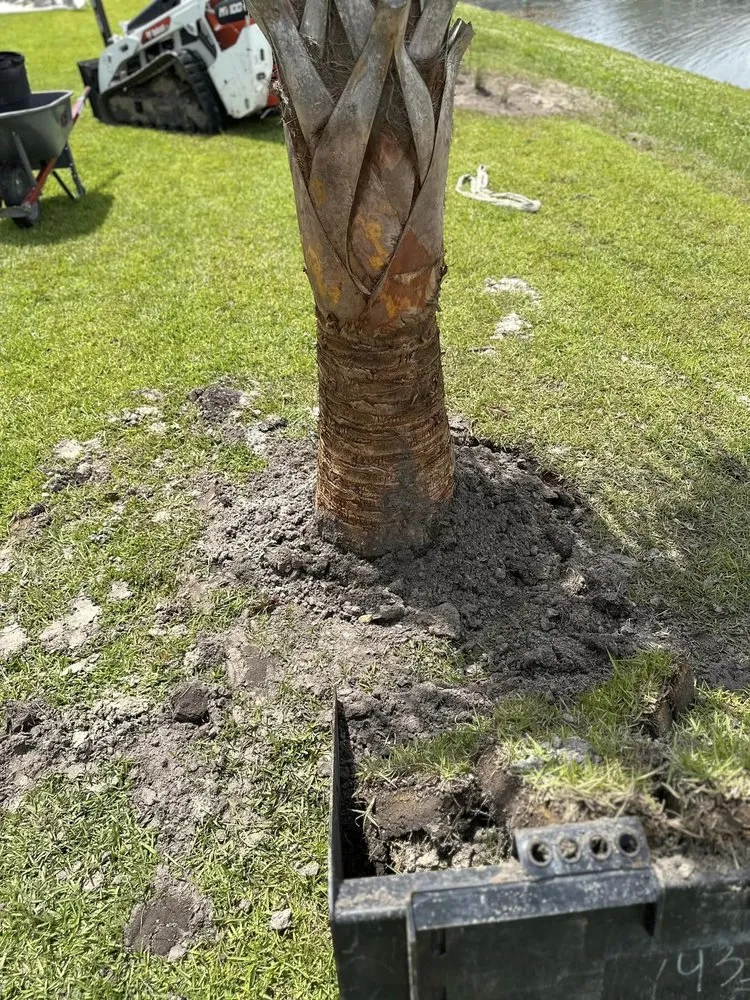 Top-rated outdoor landscaping in Loris, SC by KC Flowers