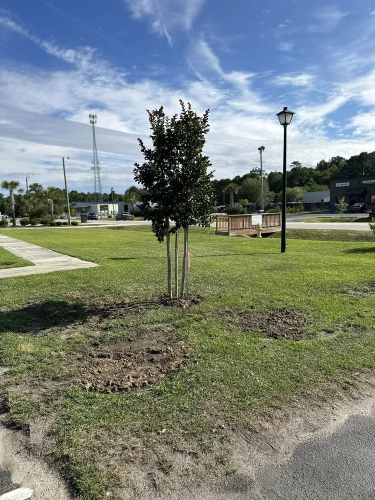 Trusted yard cleanup service experts serving Loris, SC - KC Flowers