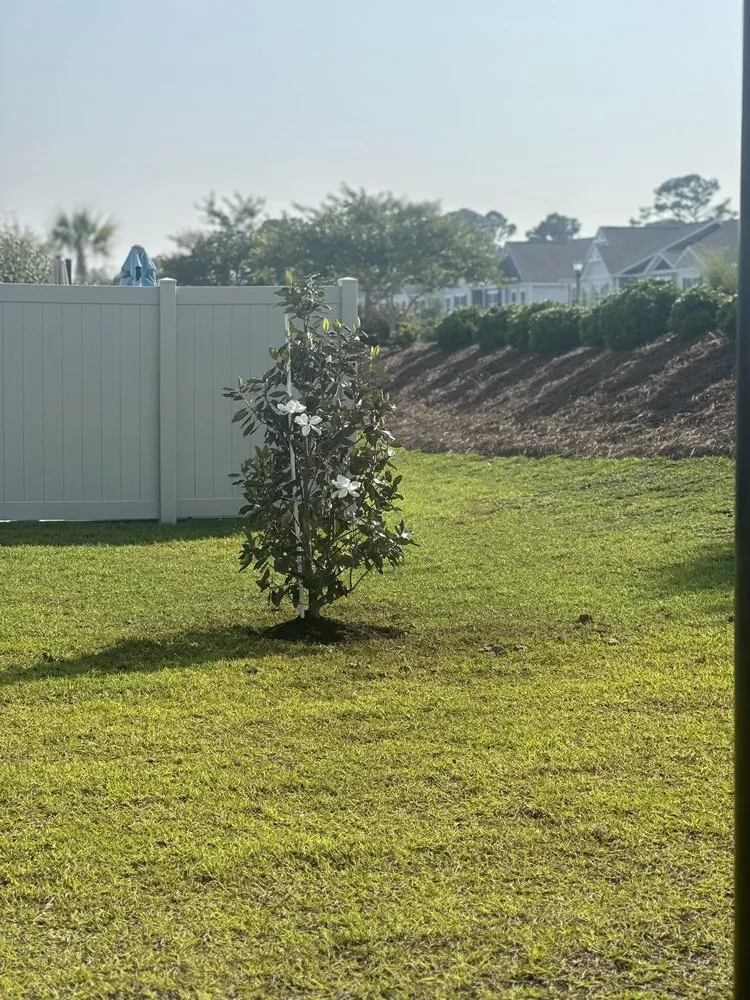 Top-rated yard maintenance in Loris, SC by KC Flowers