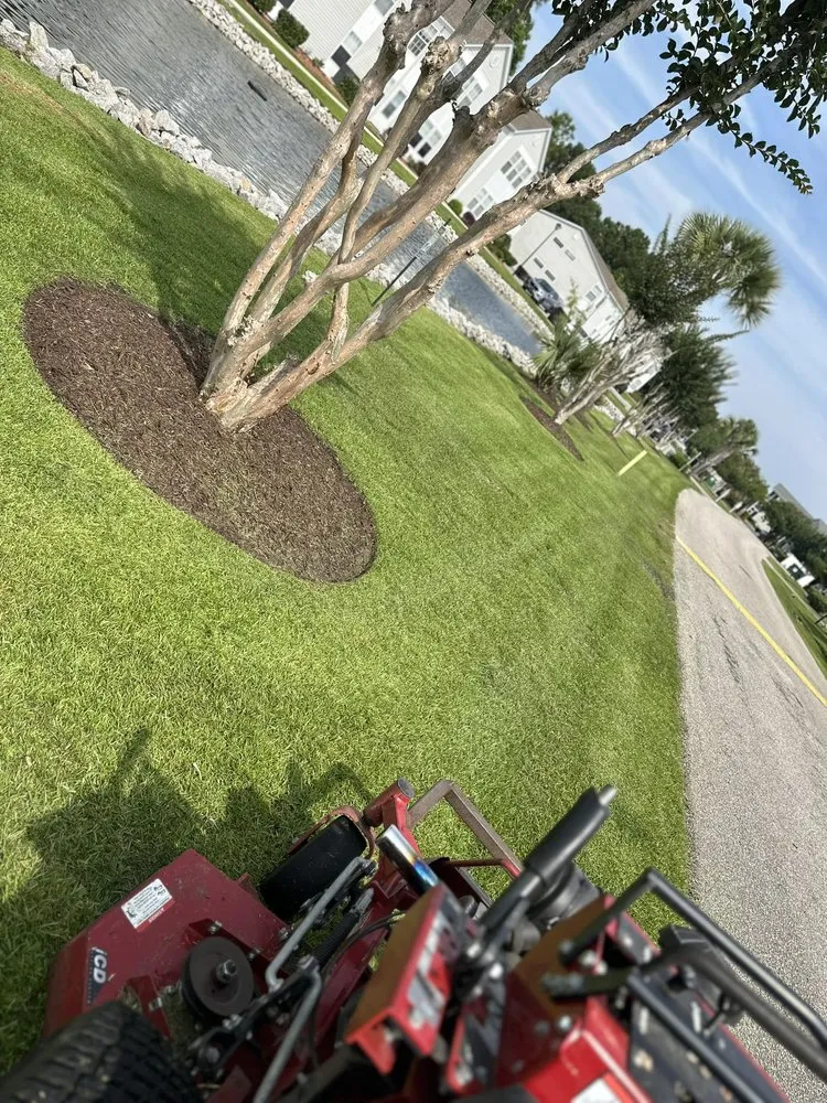 Local lawn mowing service for year-round maintenance across Loris, SC - KC Flowers