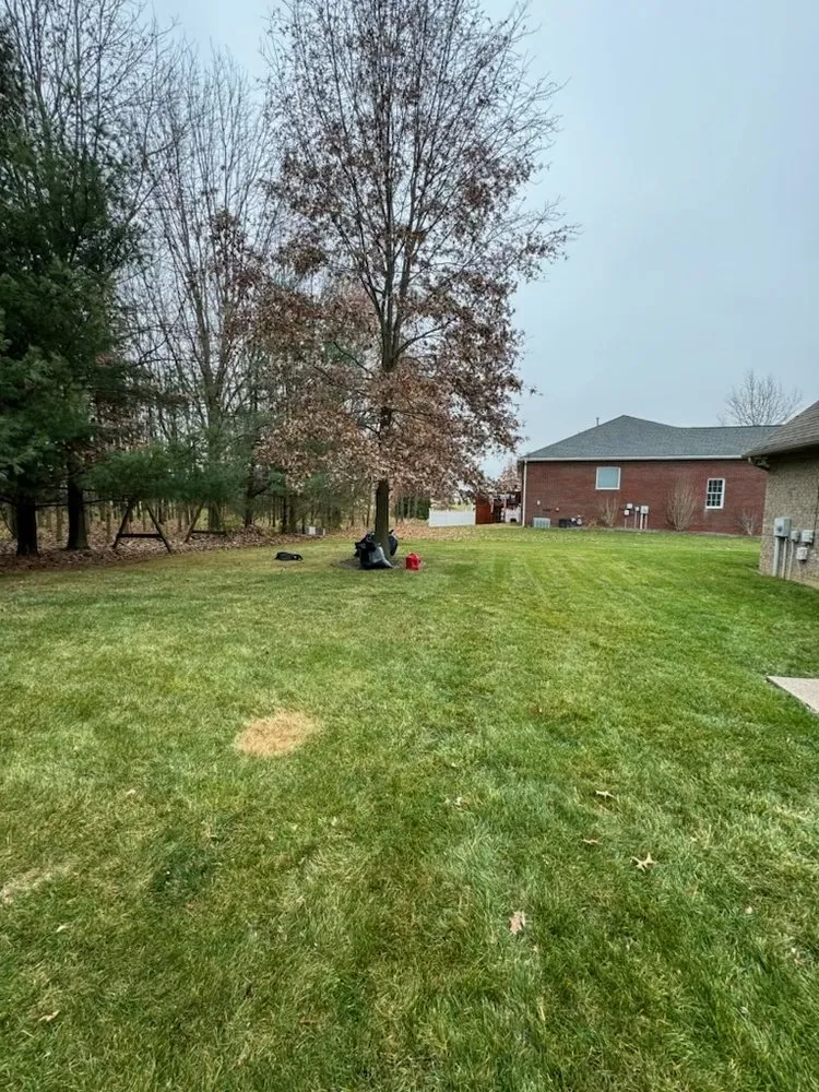 Reliable lawn care service experts serving Owensville, IN - K&C House Services