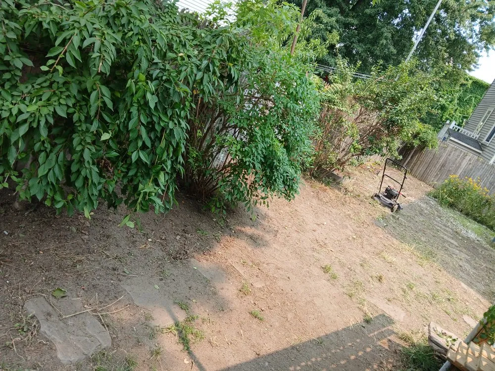 Trusted yard cleanup service for homes across Pawtucket, RI - Kc Junk Removal and Services