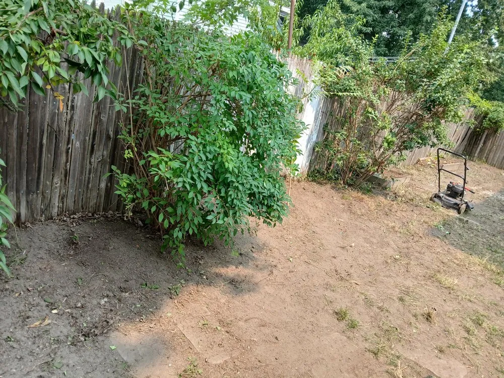 Reliable lawn care service experts serving Pawtucket, RI - Kc Junk Removal and Services