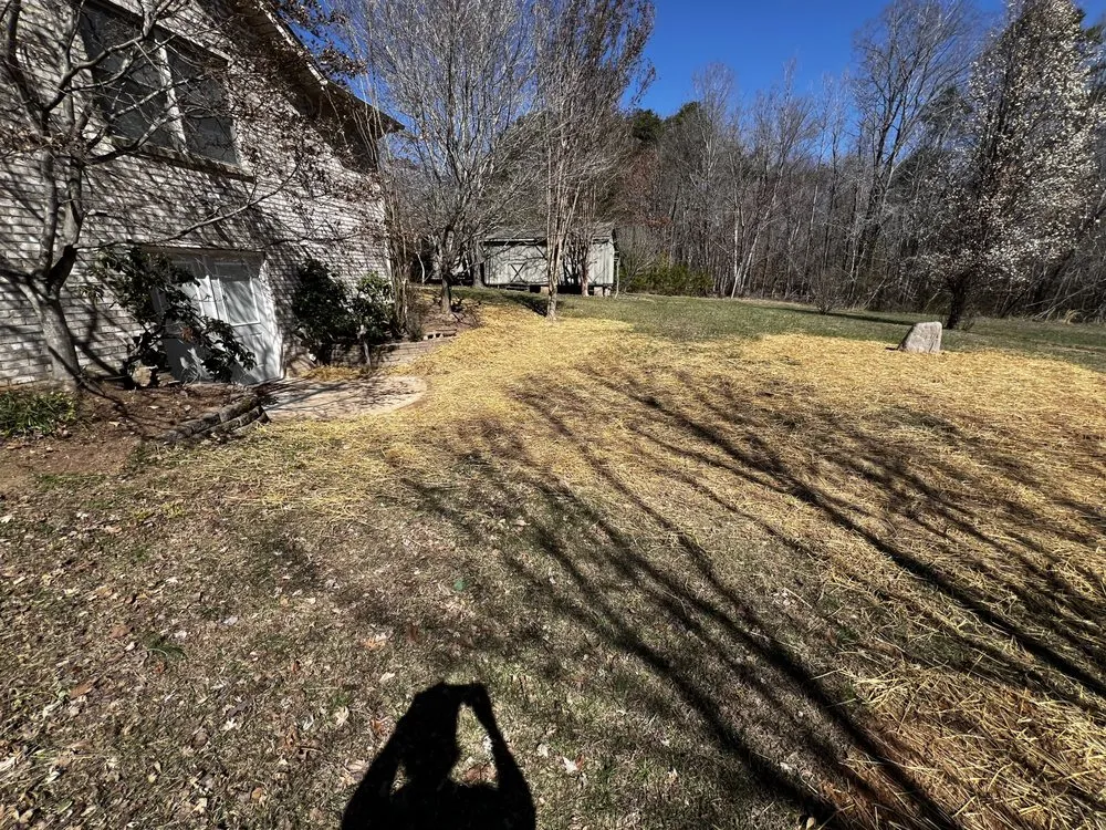 Top-rated landscape design for year-round maintenance across Ringgold, VA - K&C Land Management