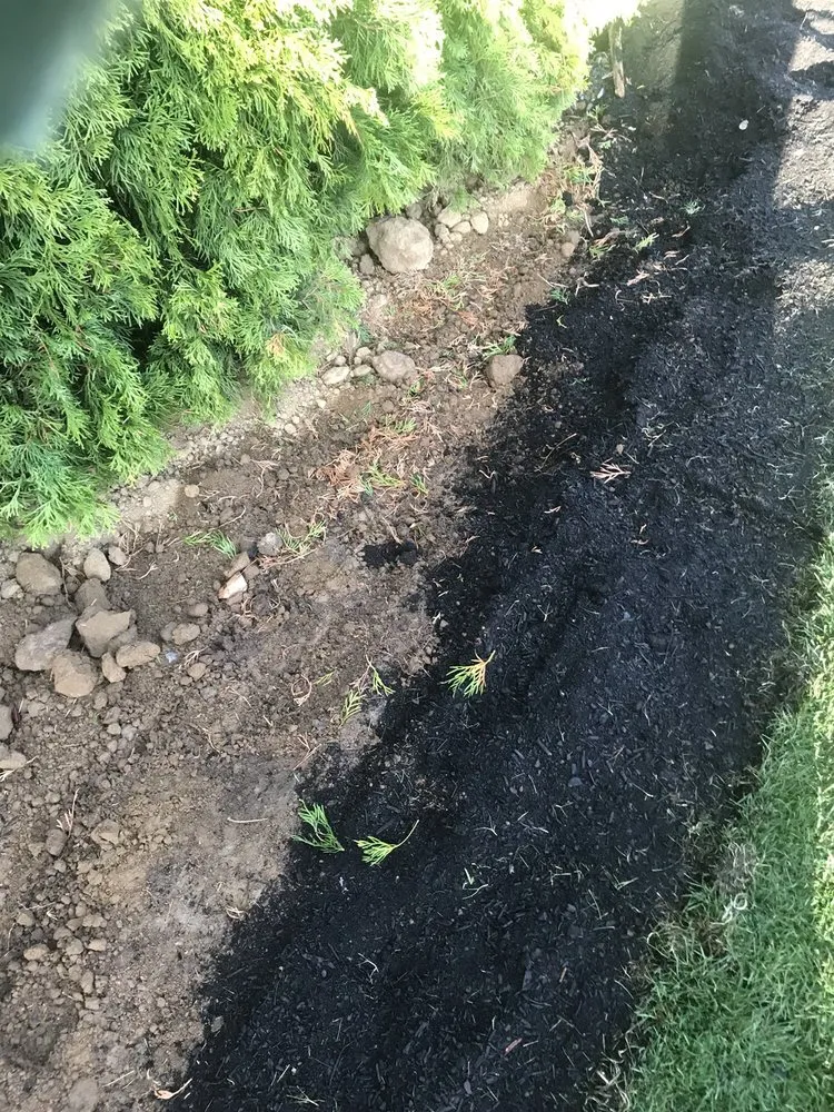 Expert landscape installation in Scappoose, OR - K&C Landscape