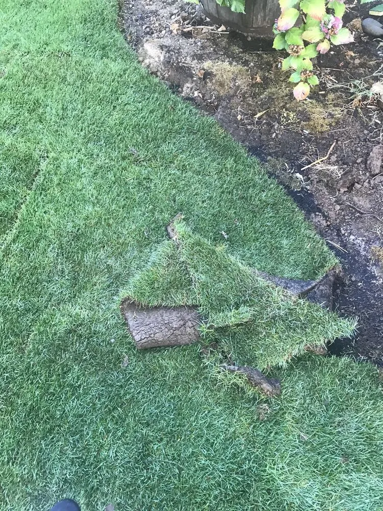 Professional garden landscaping in Scappoose, OR by K&C Landscape