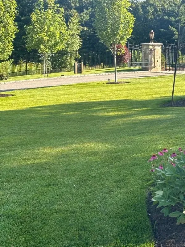 Trusted lawn care service in Framingham, MA by KC Landscaping & Construction