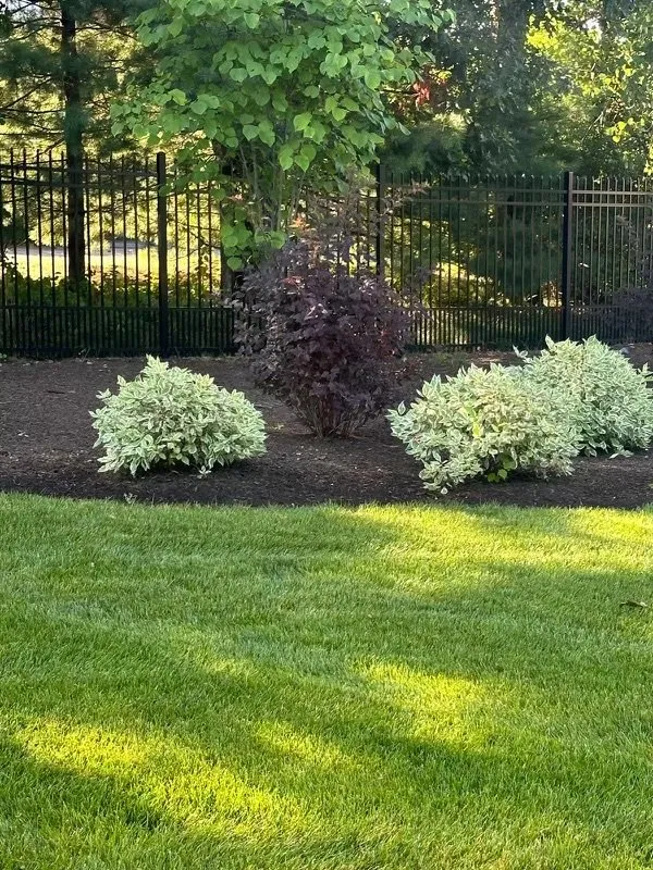 Affordable outdoor landscaping in Framingham, MA - KC Landscaping & Construction
