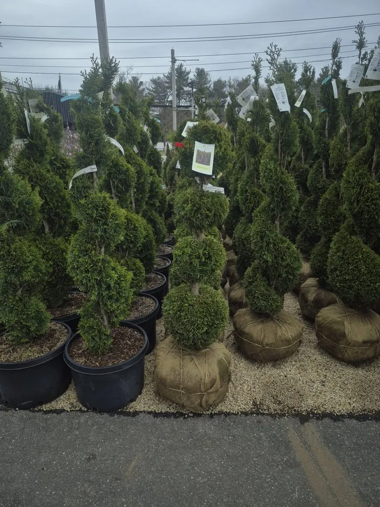 Trusted lawn mowing service experts serving New York, NY - KC Landscaping & Design