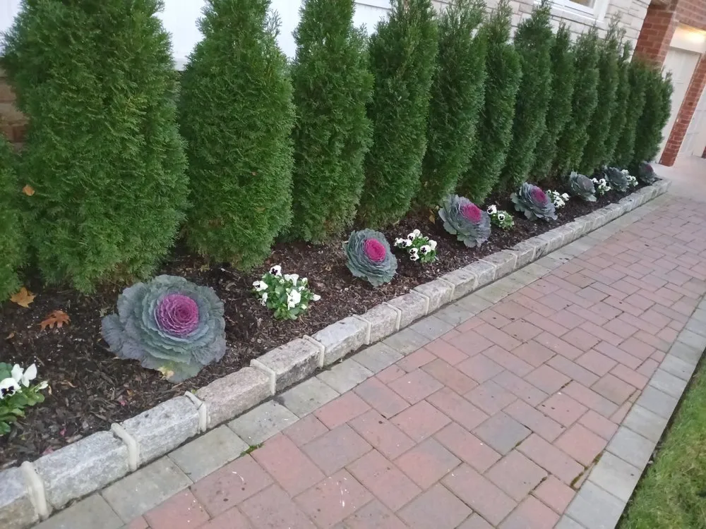 Trusted landscape design for year-round maintenance across New York, NY - KC Landscaping & Design