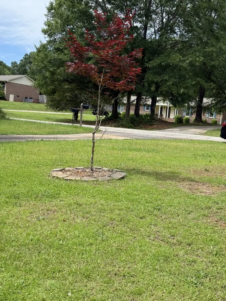 Trusted landscaping services in Spartanburg, SC by KC Landscaping & More