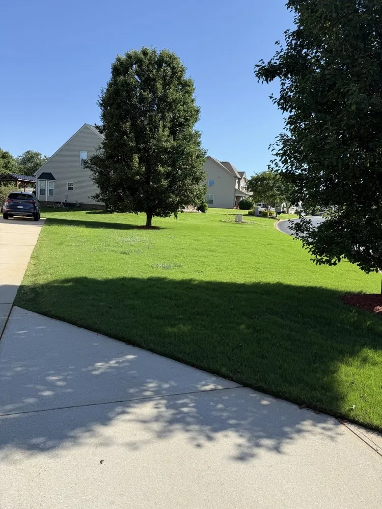 Expert landscape design for homes across Spartanburg, SC - KC Landscaping & More