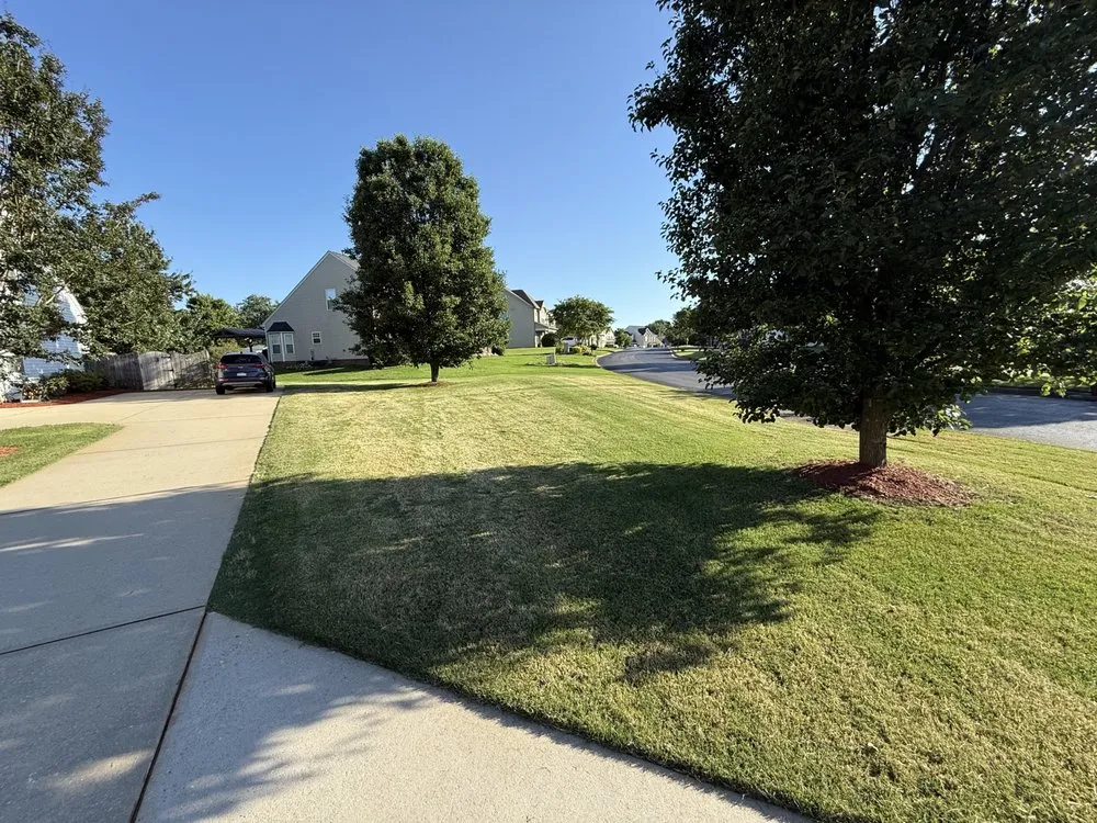 Professional landscape installation experts serving Spartanburg, SC - KC Landscaping & More