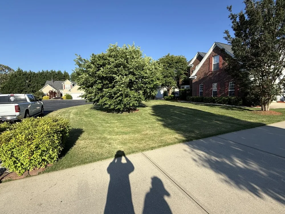 Professional landscape installation in Spartanburg, SC - KC Landscaping & More