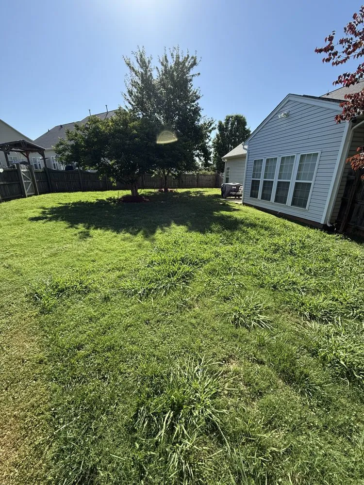 Local landscape design near you across Spartanburg, SC - KC Landscaping & More