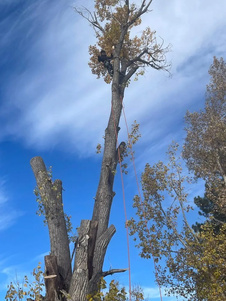 Top-rated yard maintenance for year-round maintenance across Aurora, CO - KC Landscaping