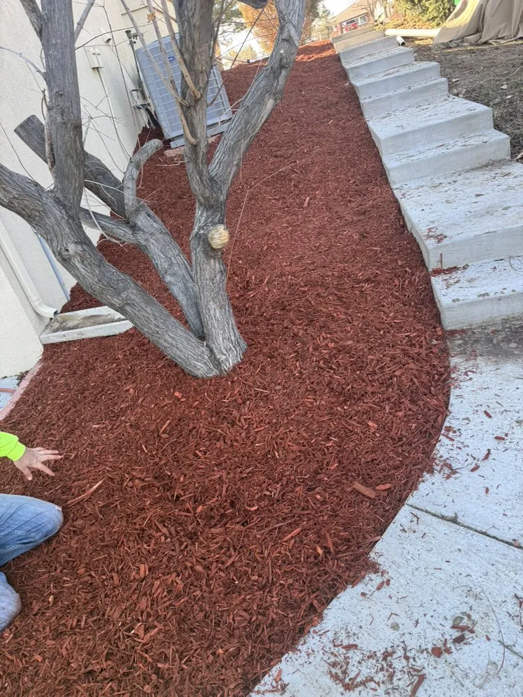 Professional landscaping services for outdoor upgrades in Aurora, CO by KC Landscaping