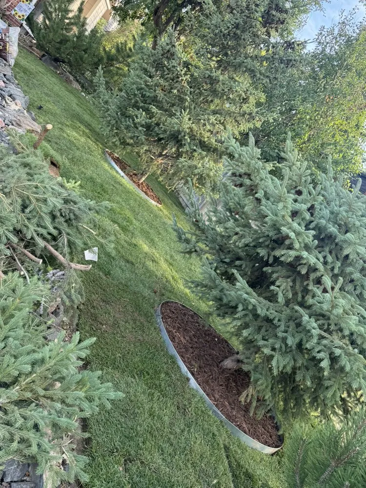 Professional lawn mowing service near you across Aurora, CO - KC Landscaping