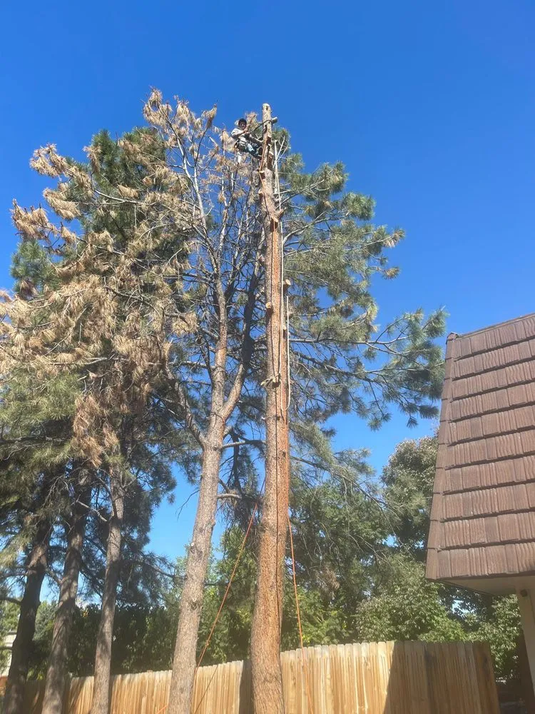 Reliable landscaping services in Aurora, CO by KC Landscaping