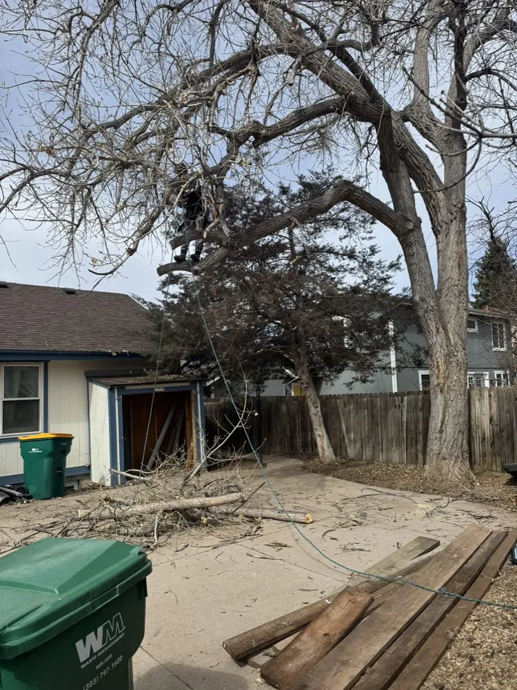 Reliable landscape design near you across Aurora, CO - KC Landscaping