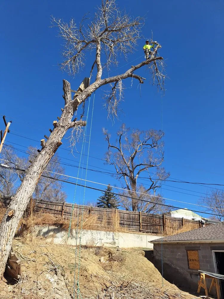 Affordable landscape design for homes across Aurora, CO - KC Landscaping