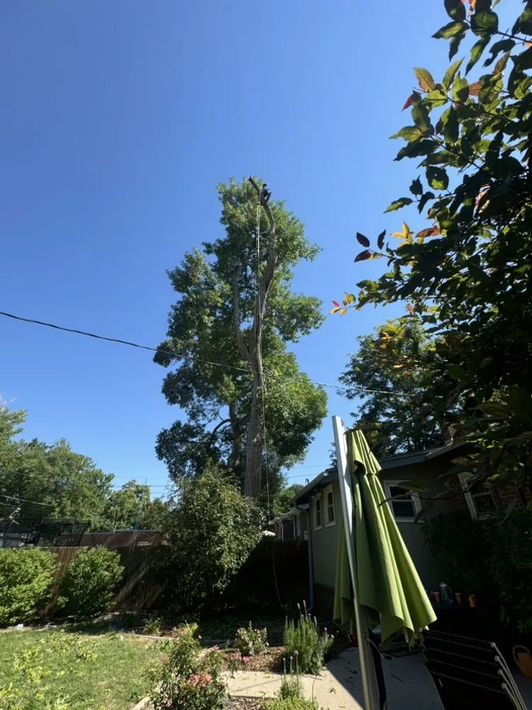 Local lawn care service for residential properties across Aurora, CO - KC Landscaping